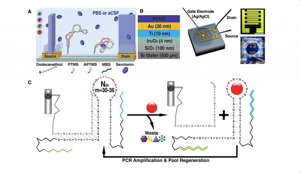 Aptamer-field-effect Transistors Overcome Debye Length Limitations For ...